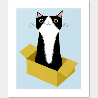 Cat in Box Posters and Art